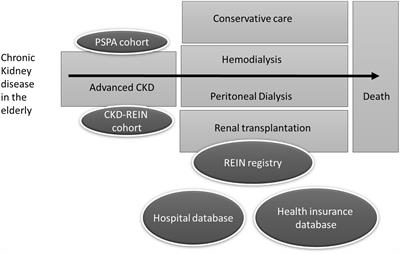 What does the French REIN registry tell us about Stage 4-5 CKD care in older adults?